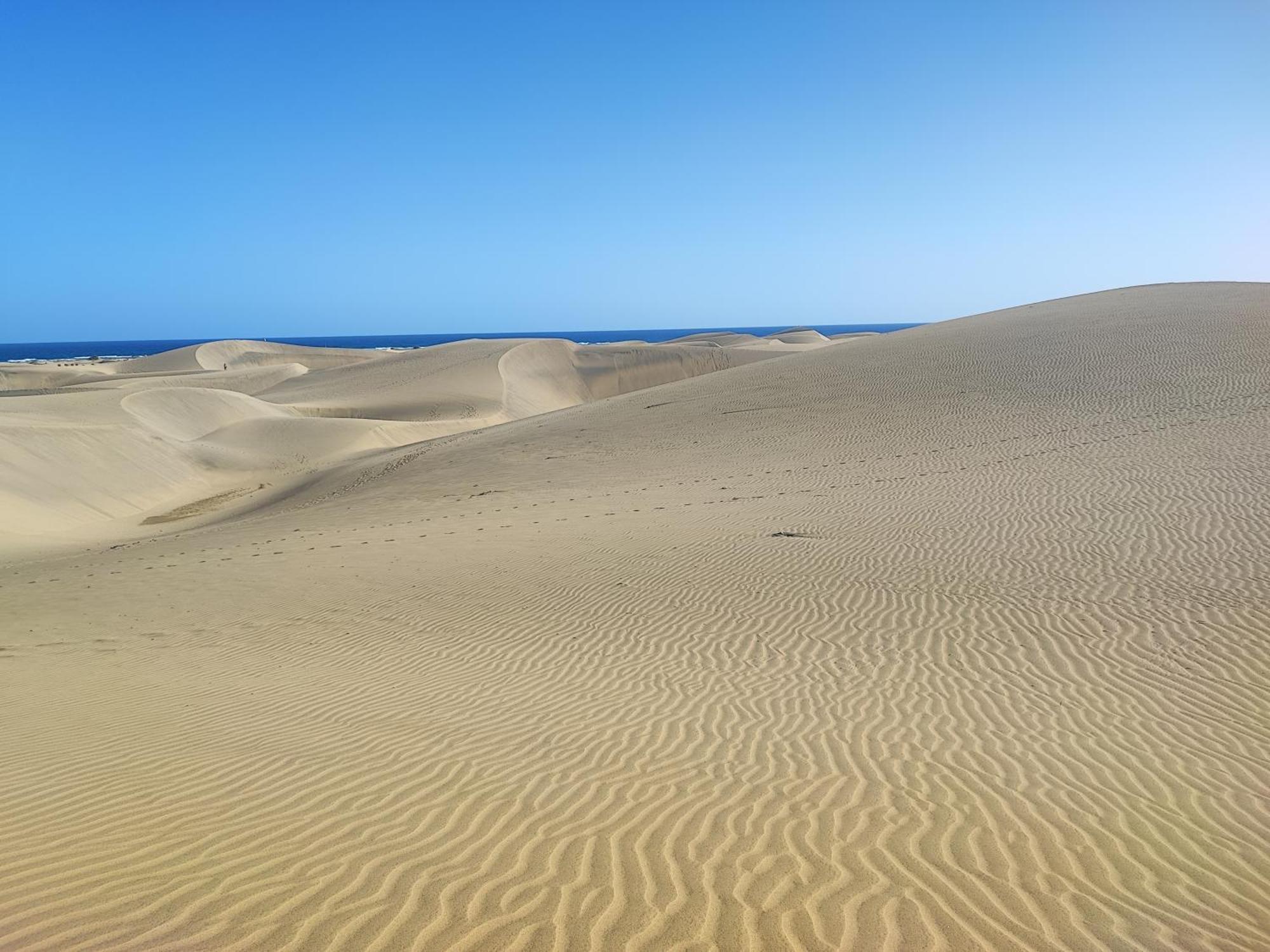 Piso Paraíso vicino al mare Maspalomas  Exterior foto